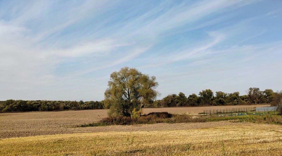 офис городской округ Чехов д Люторецкое фото 1