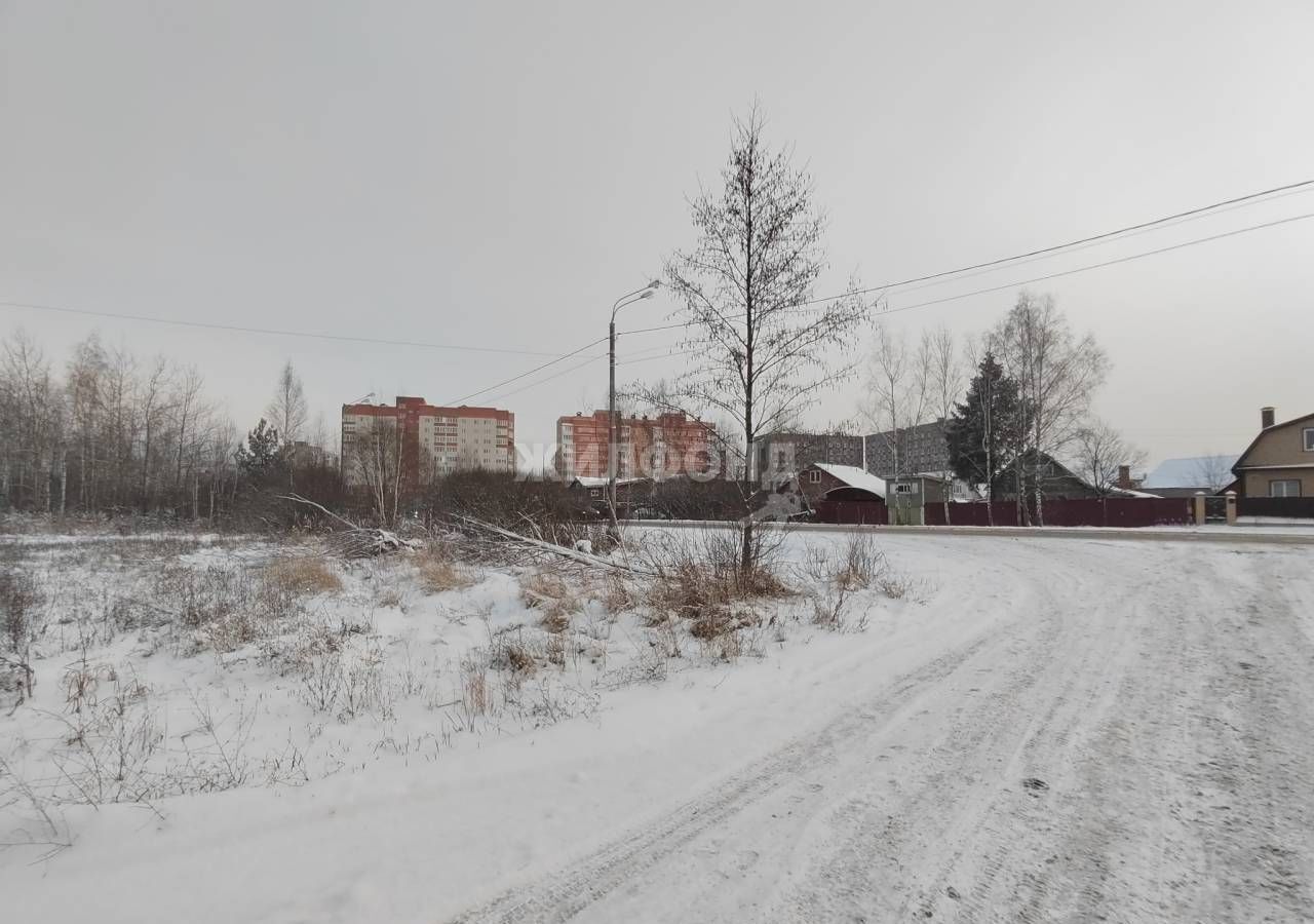 земля городской округ Орехово-Зуевский г Куровское ул Озерная 68 км, Егорьевское шоссе фото 2