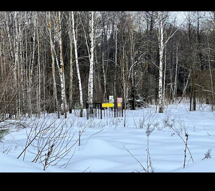 земля городской округ Раменский д Шмеленки ул Лесная фото 2