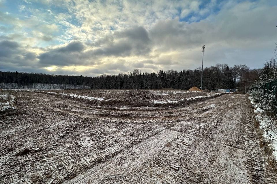 земля городской округ Подольск д. Пузиково фото 3