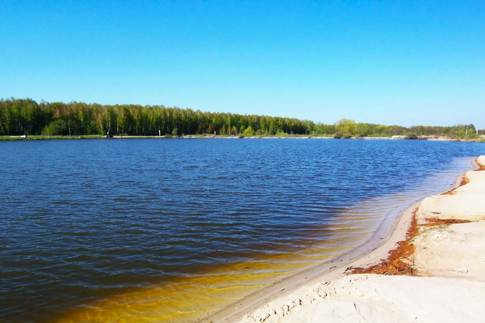 земля городской округ Чехов д. Филипповское фото 2