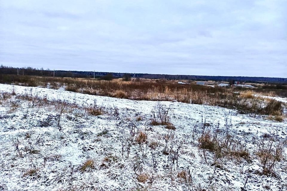 земля городской округ Егорьевск д. Полбино фото 3