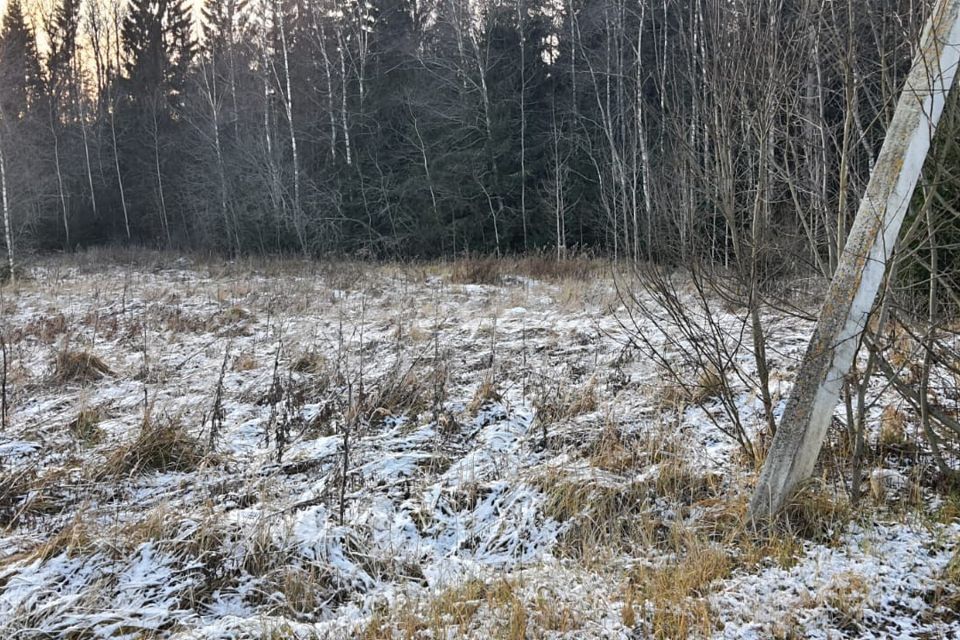 земля городской округ Талдомский ТСН Жуково фото 2