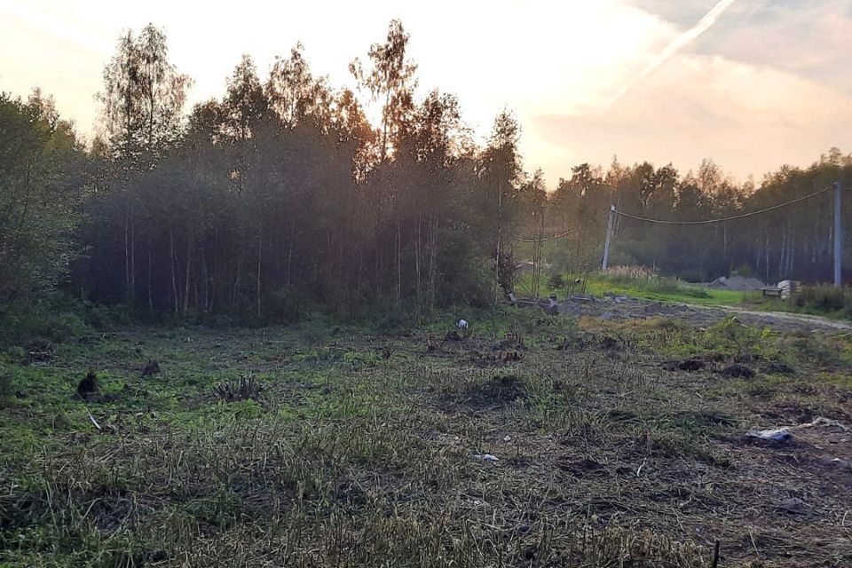 земля городской округ Солнечногорск СНТ Исток-С фото 3