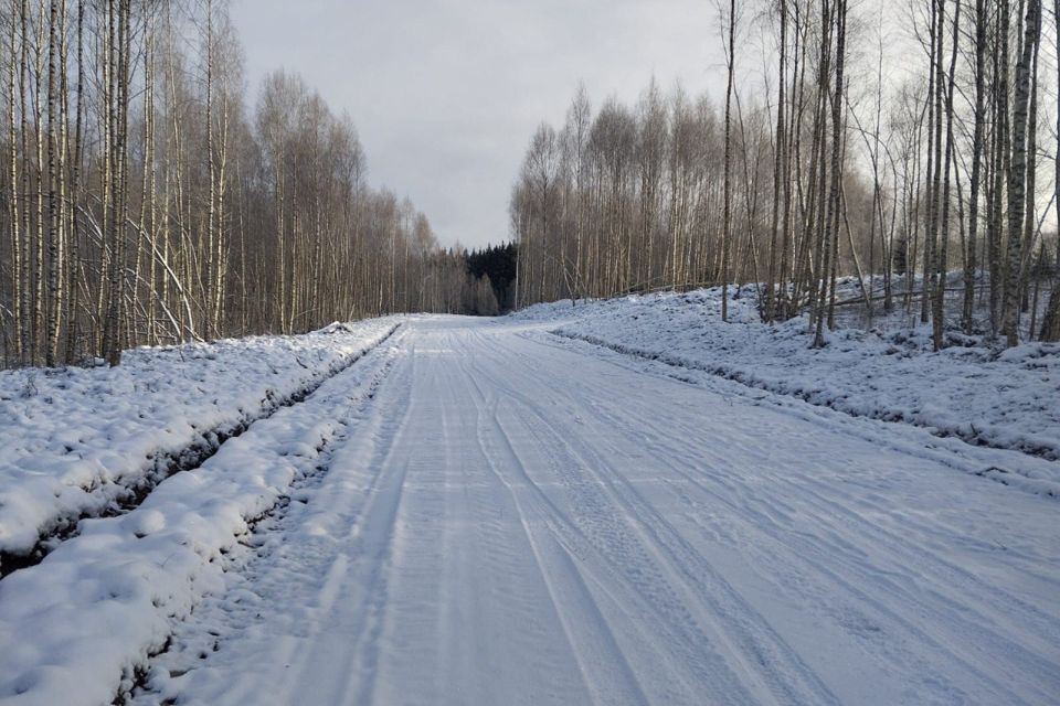 земля городской округ Дмитровский д. Сбоево фото 1