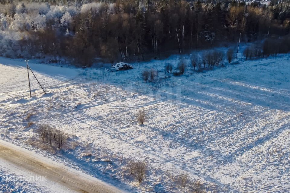 земля р-н Волосовский фото 10