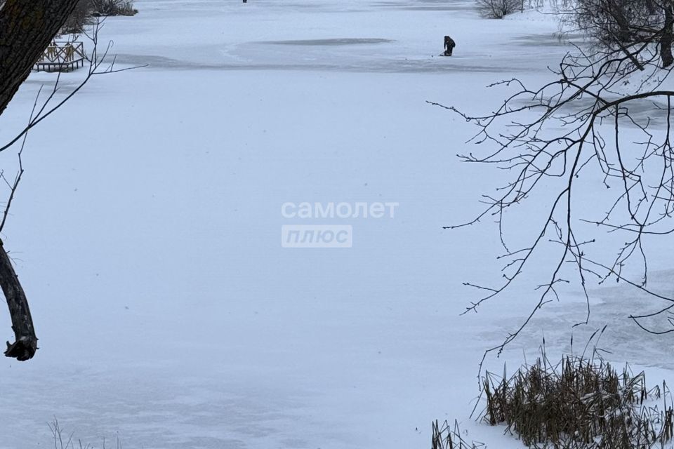 земля городской округ Домодедово Фишер, коттеджный посёлок Фишер, 4 фото 8