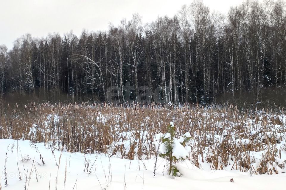 земля городской округ Истра ДНП Перспектива фото 8