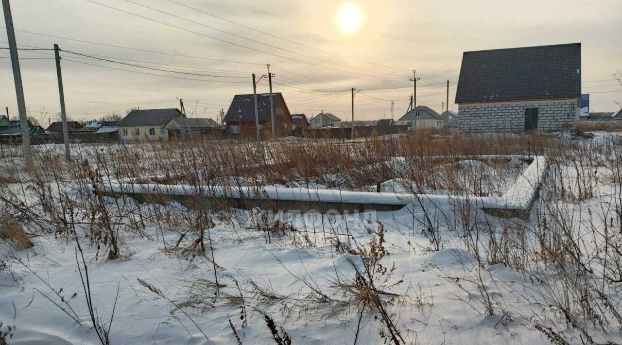 земля р-н Колыванский с Скала ул Сибирская фото 3