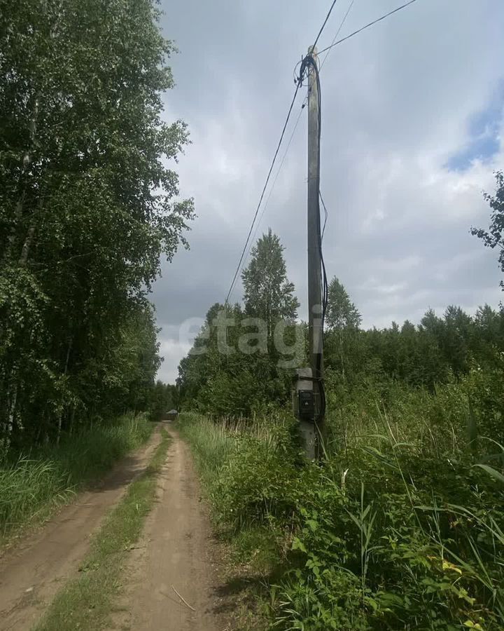 земля р-н Нижнетавдинский снт Моторостроитель Тюмень фото 6