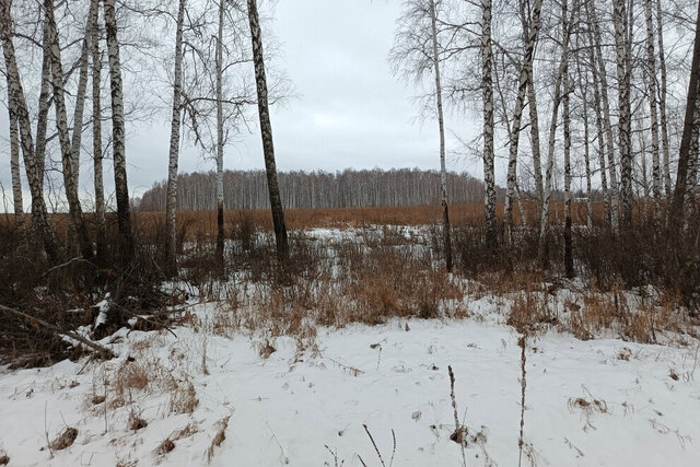 Уральская, Белоярский городской округ фото