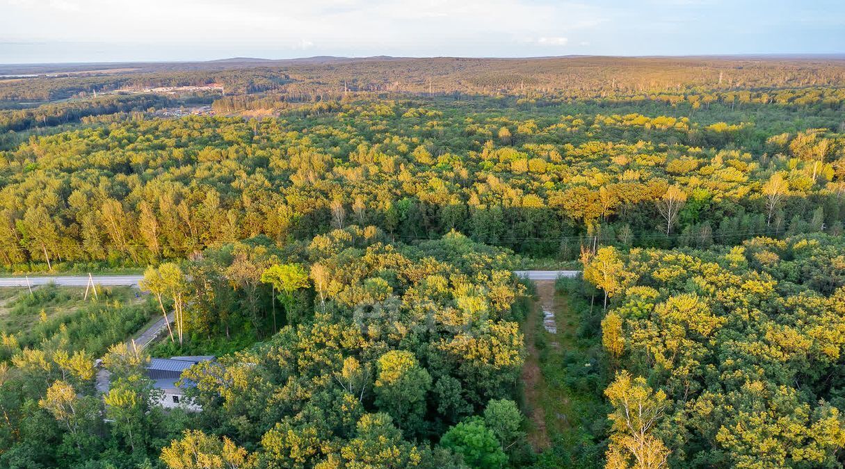 земля р-н Хабаровский с Некрасовка Дубовая Роща кв-л фото 4