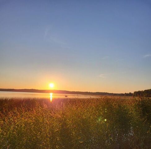 р-н Кировские Дачи Выборгское городское поселение фото