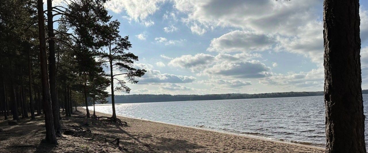 земля р-н Выборгский п Красносельское Золотой пляж ДНП, Беговая фото 4