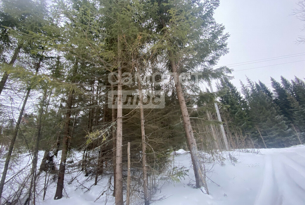 земля р-н Шалинский п Шаля фото 4