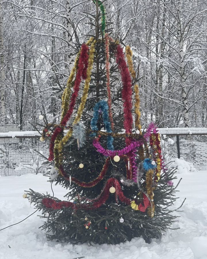 дом р-н Петушинский д Кукушкино муниципальное образование Пекшинское, 68, Костерево фото 2