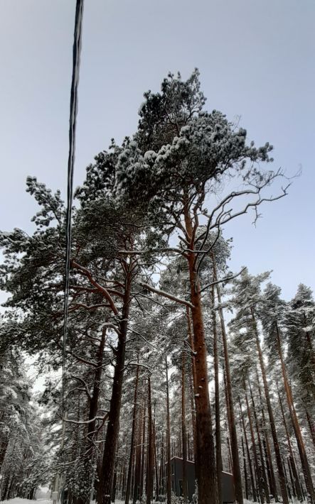 земля г Санкт-Петербург п Комарово ул Привокзальная 29 р-н Курортный фото 11