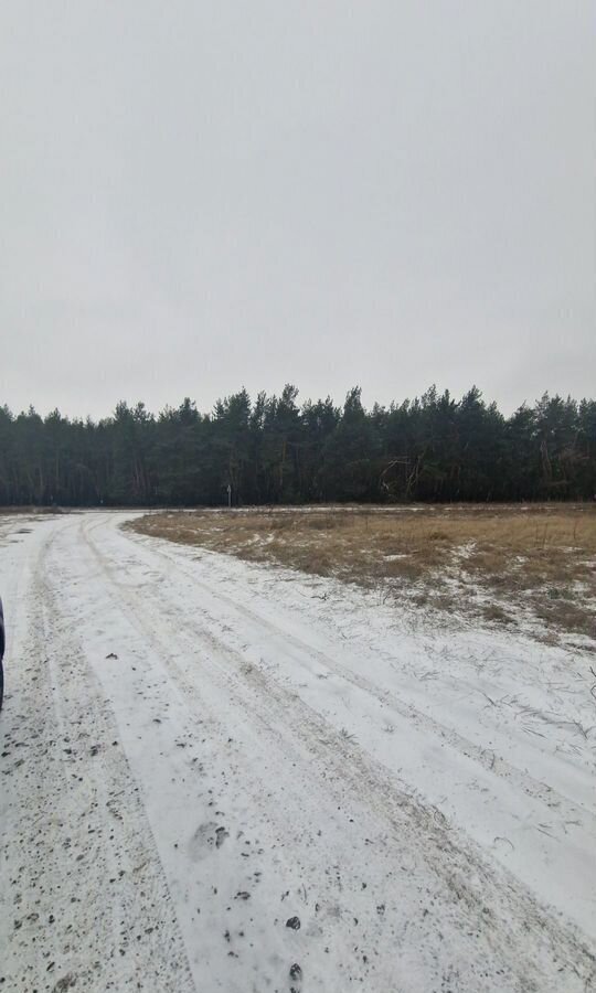 земля р-н Курский д Зорино ул Хвойная Рышковский сельсовет, Курск фото 3