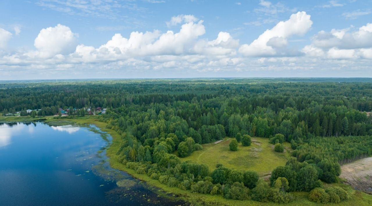 земля р-н Боровичский д Молодёново Железковское с/пос фото 17