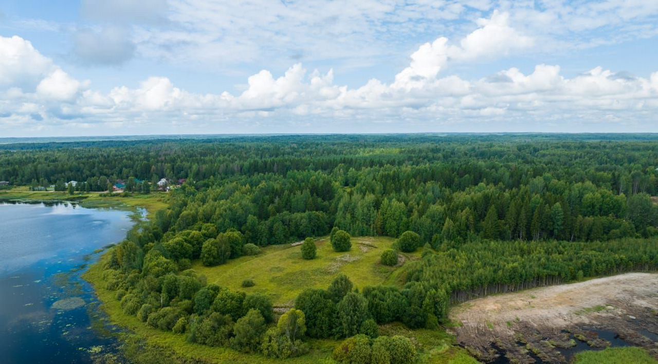 земля р-н Боровичский д Молодёново Железковское с/пос фото 21