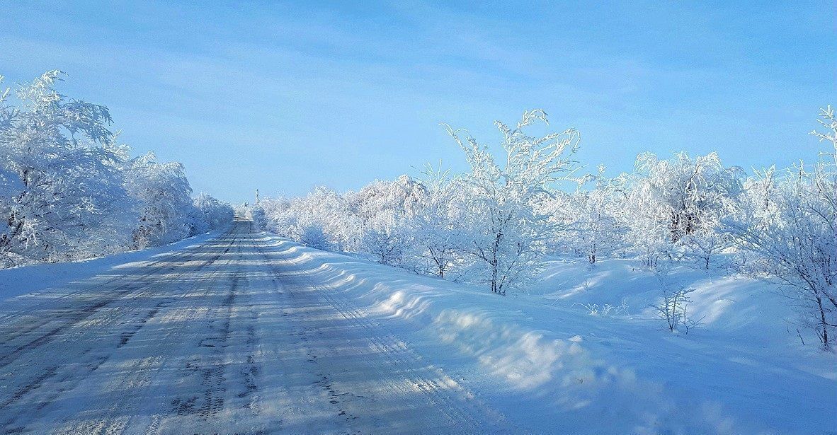 земля г Домодедово с Юсупово 39 км, Жёлтая ул, Троицкое, Новокаширское шоссе фото 2