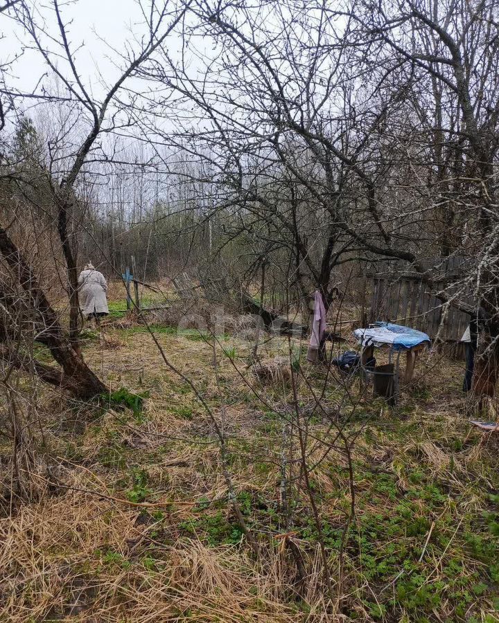 земля городской округ Орехово-Зуевский Орехово-Зуево, СНТ Мечта фото 4