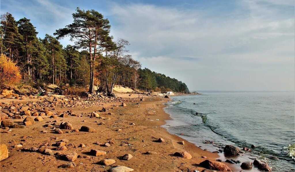 земля г Санкт-Петербург п Комарово метро Удельная фото 27