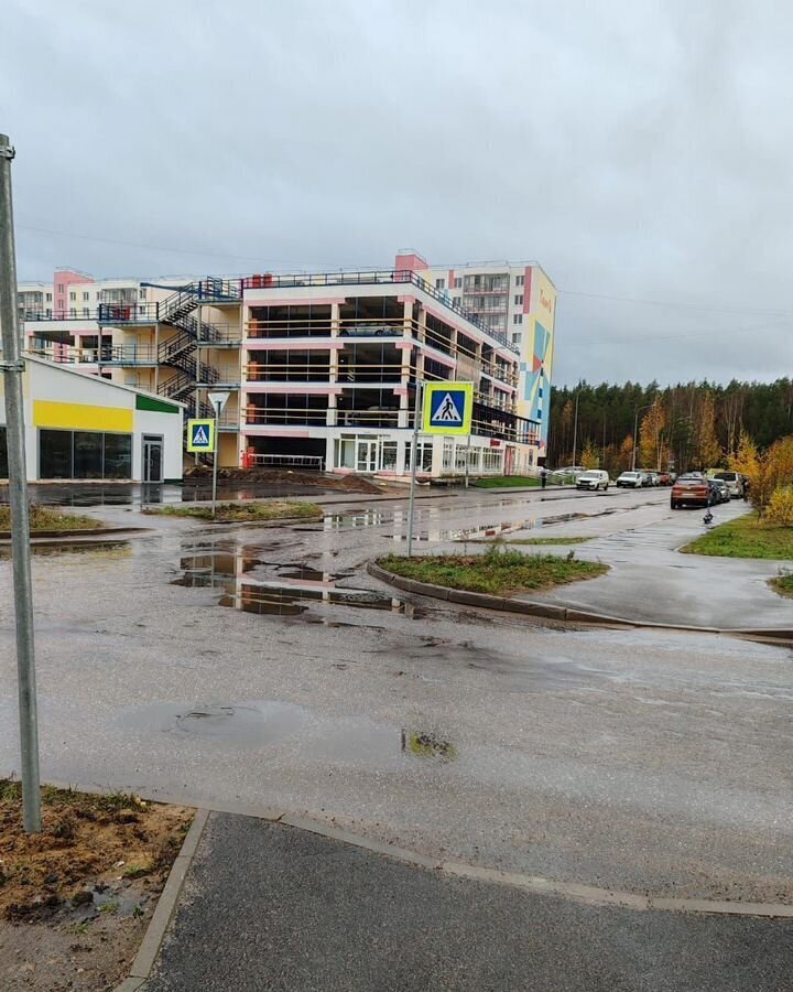 квартира р-н Всеволожский г Всеволожск ул Севастопольская 1 Всеволожское городское поселение фото 34