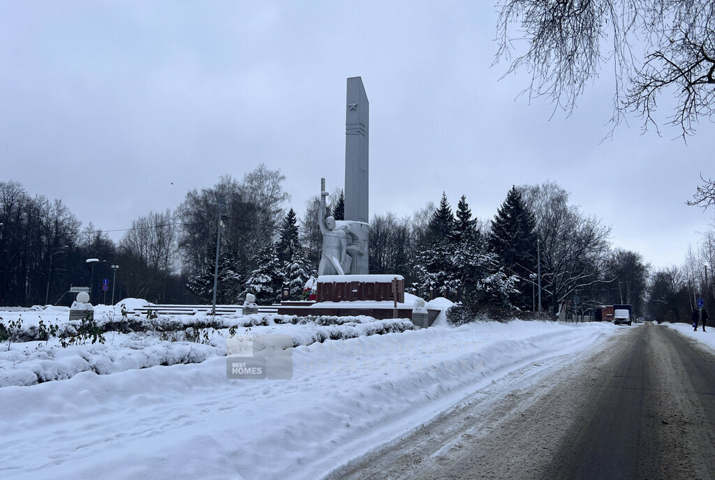 земля городской округ Одинцовский с Успенское Баковка фото 18