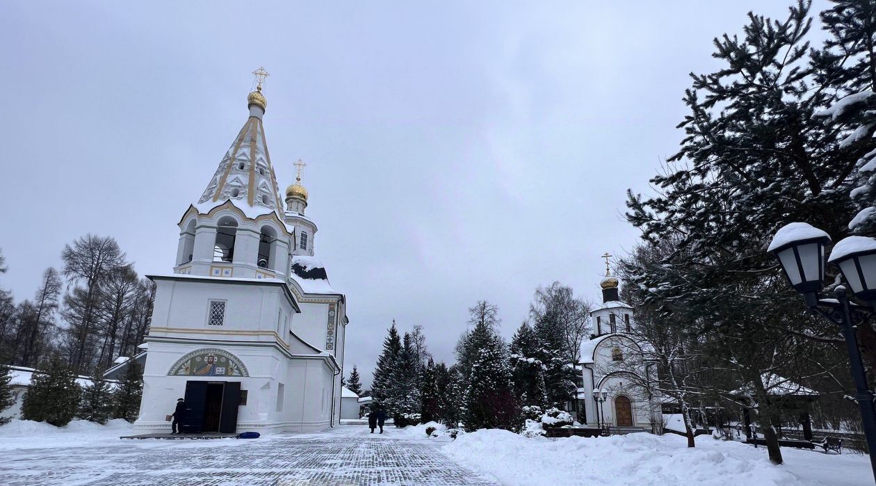 земля городской округ Одинцовский с Успенское Одинцово фото 16