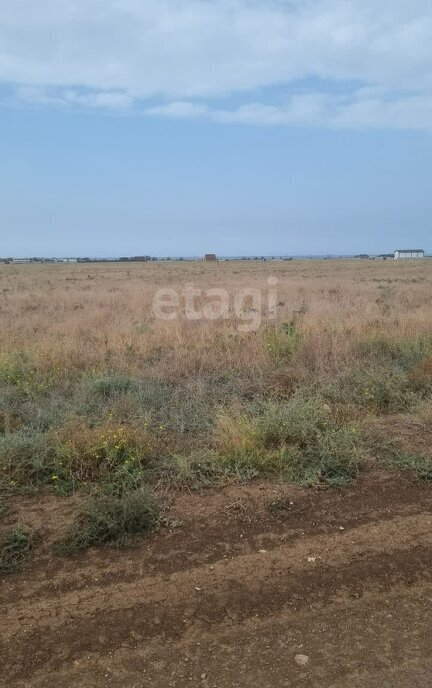 земля р-н Сакский с Суворовское тер Потребительский кооператив Чайка-С ул Садовая 11-я Суворовское сельское поселение фото 4