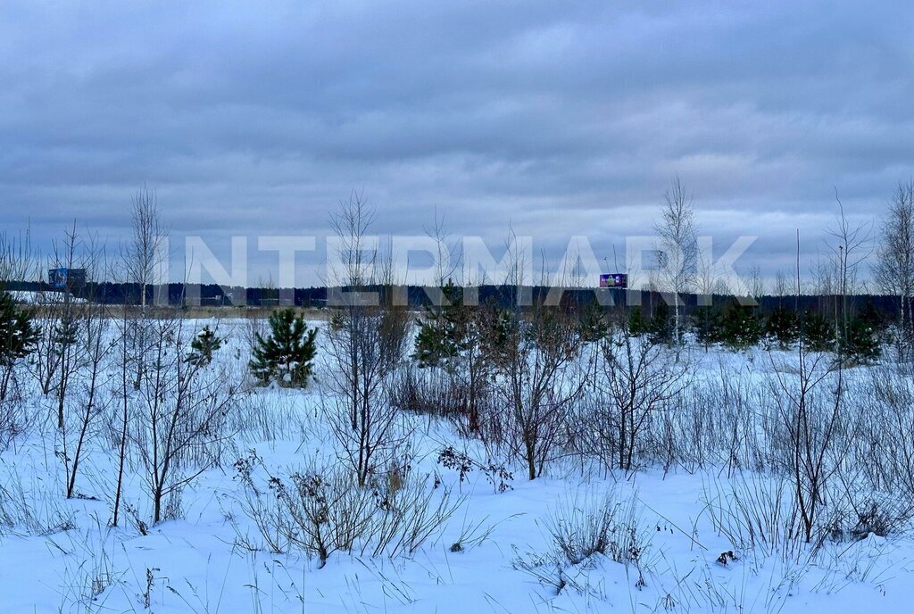 земля городской округ Истра д Обушково Нахабино фото 1