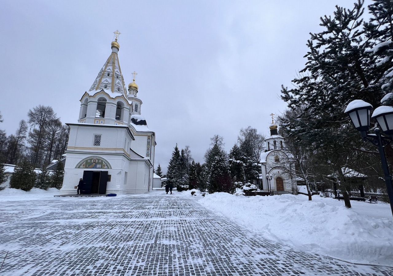 земля городской округ Домодедово с Успенское 34 км, Домодедово, Новокаширское шоссе фото 16