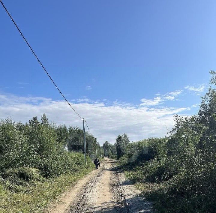 земля г Тюмень р-н Центральный снт Ясень Центральный административный округ фото 2