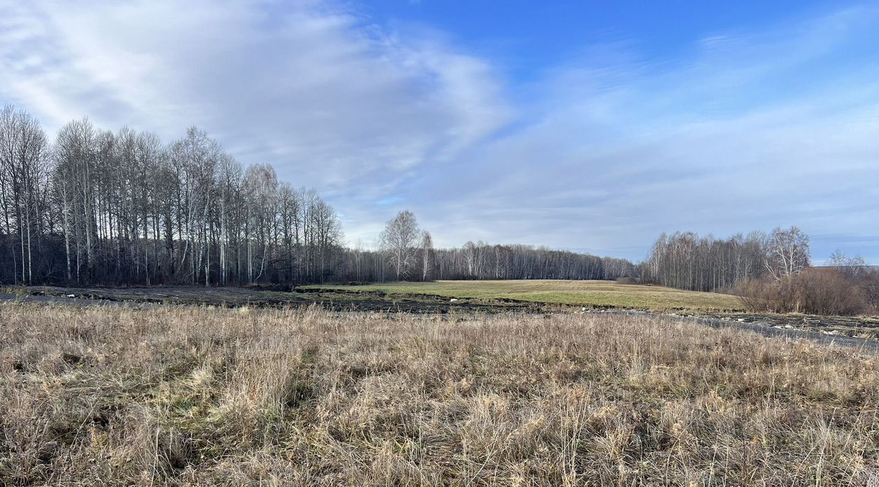 земля р-н Тюменский д Насекина ул Центральная фото 7