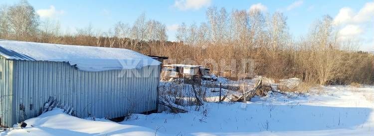 дом р-н Новосибирский п Двуречье ул Строительная Барышевский сельсовет, Барышево фото 3