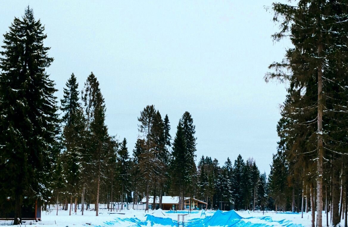 земля городской округ Истра п Северный 37 км, Истра, Волоколамское шоссе фото 29