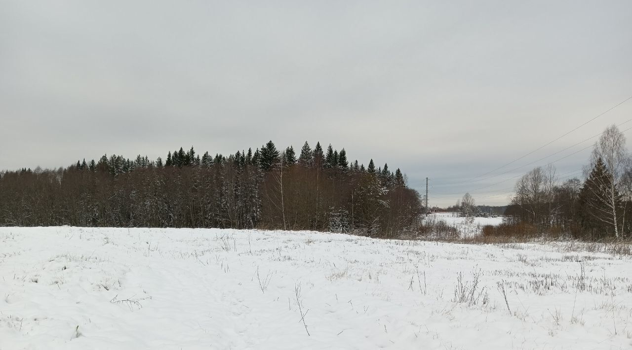 земля городской округ Дмитровский д Федоровка Подъячево ИЖС кп фото 2