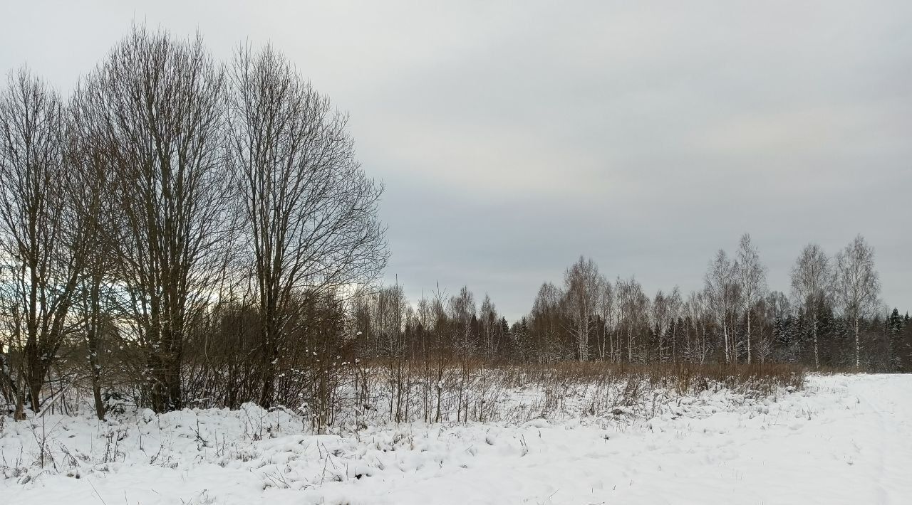 земля городской округ Дмитровский д Федоровка Подъячево ИЖС кп фото 4