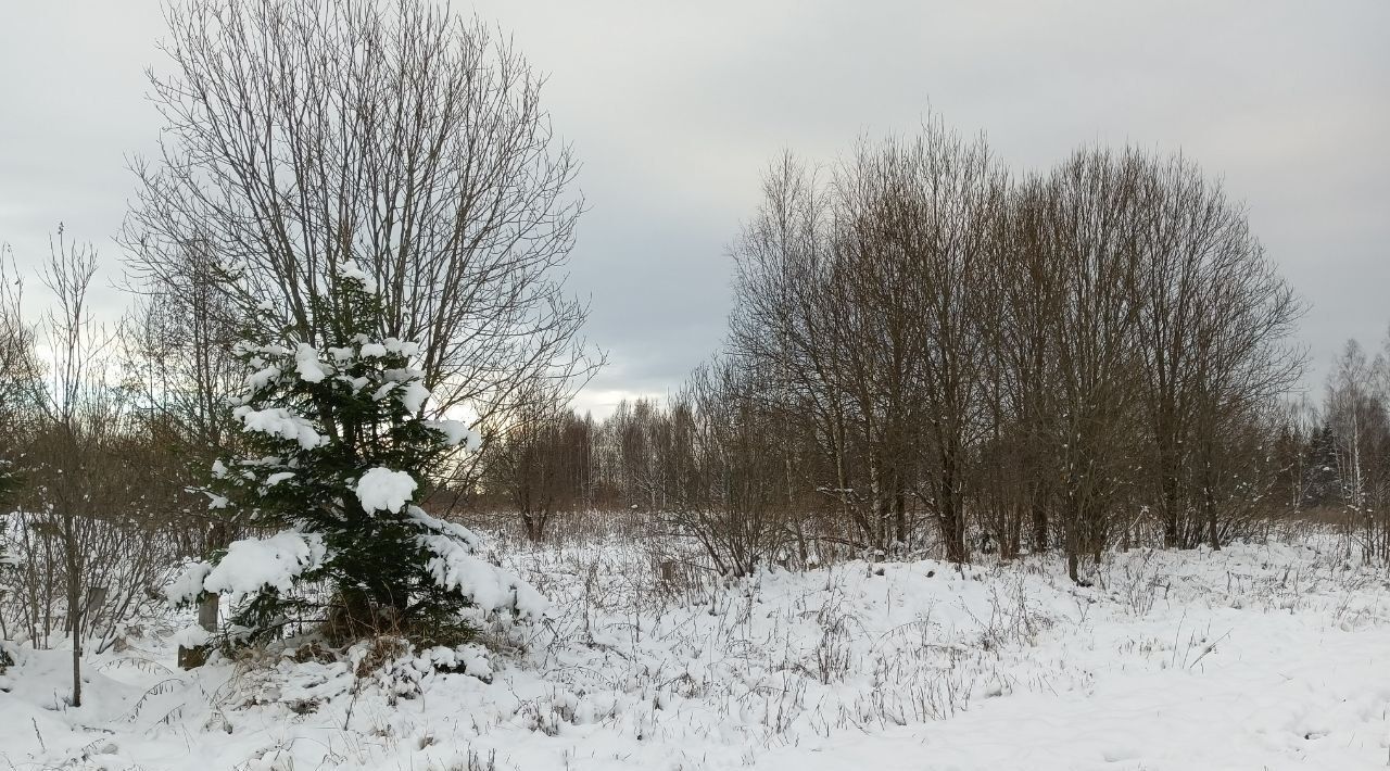 земля городской округ Дмитровский д Федоровка Подъячево ИЖС кп фото 5