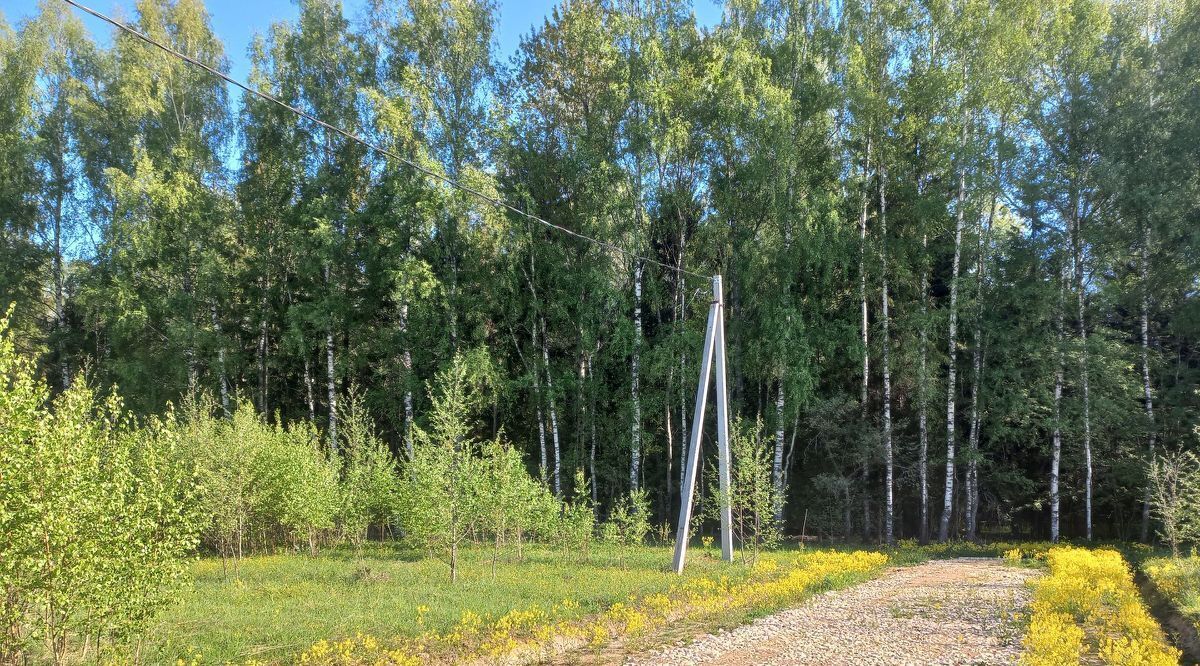 земля городской округ Шаховская д Кобылино тер Новорижская Деревенька-3 фото 21