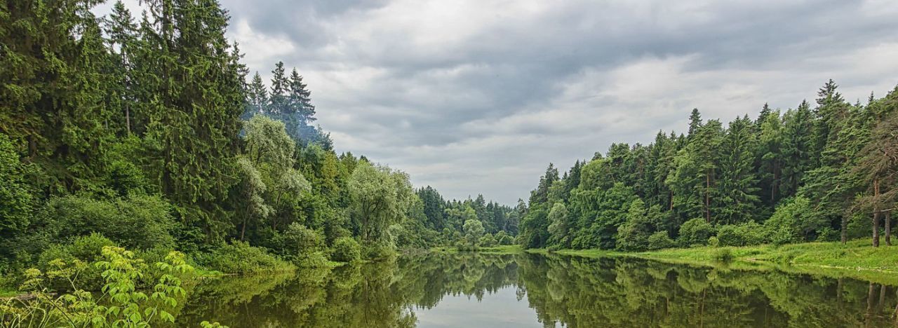 земля городской округ Одинцовский д Подушкино ГП-2 тер., Одинцово, 34 фото 10