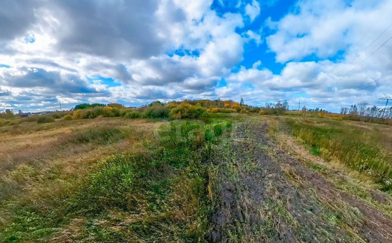 земля р-н Тюменский с Борки Каскара фото 1