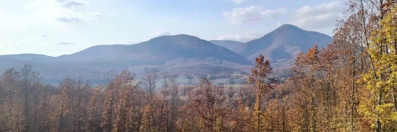 земля г Геленджик тер. ДНТ Океан фото 2