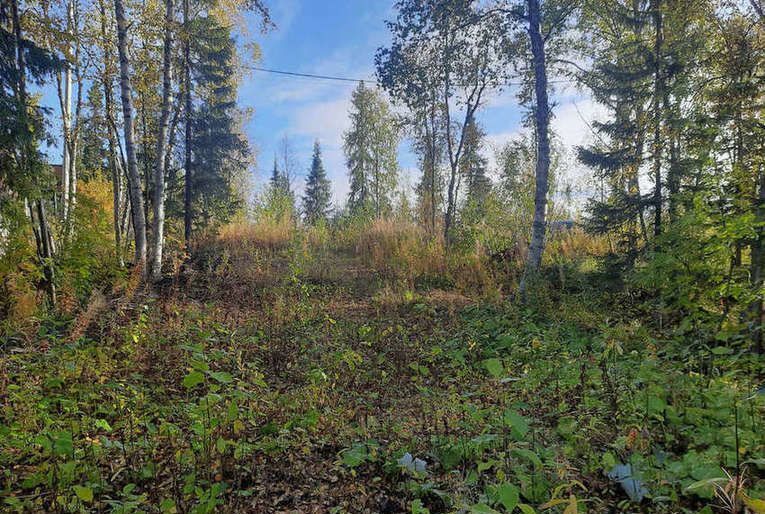 земля р-н Ловозерский сельское поселение Ловозеро, Островной фото 12