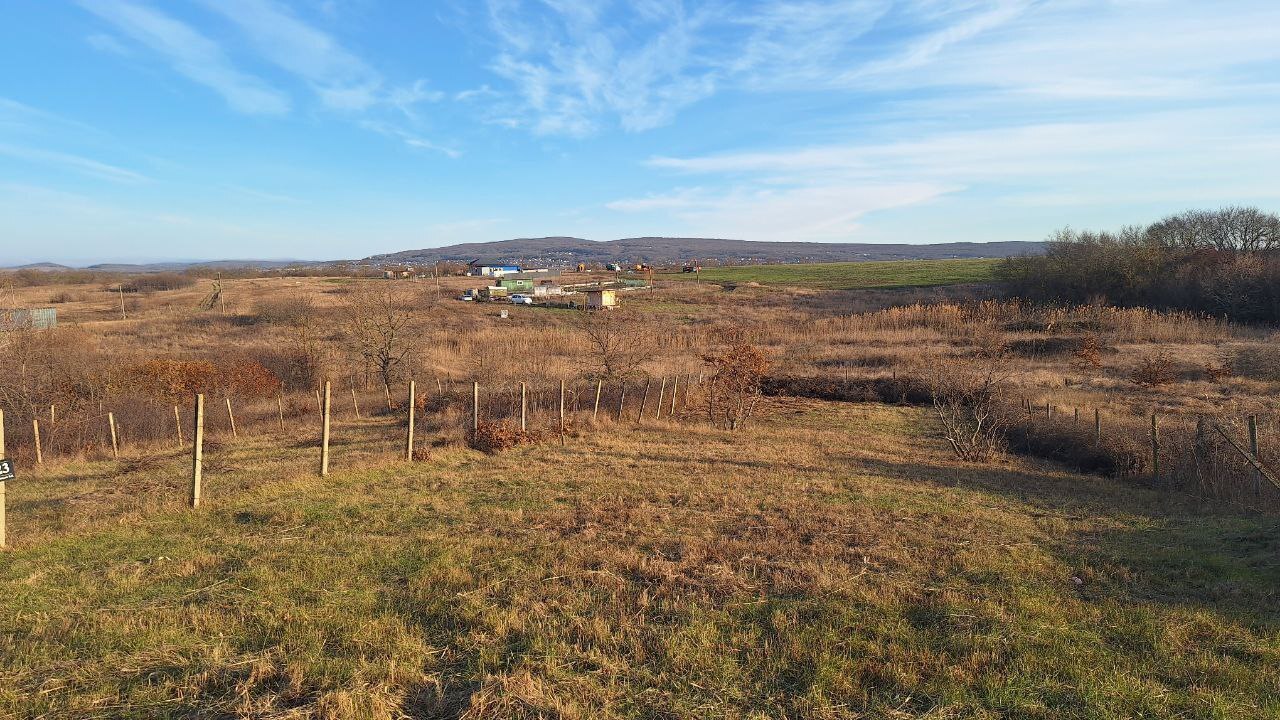 земля муниципальный округ Анапа, садоводческое товарищество Персик фото 16