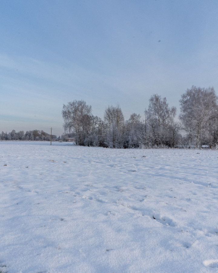 земля городской округ Шаховская с Белая Колпь ул Заречная 111 км, Новорижское шоссе фото 5