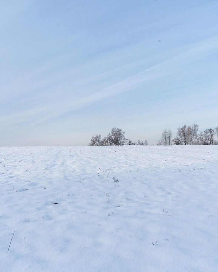 земля городской округ Шаховская с Белая Колпь ул Заречная 111 км, Новорижское шоссе фото 14