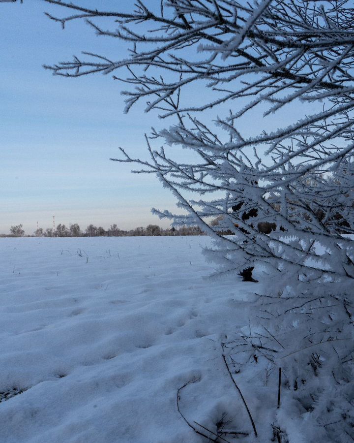 земля городской округ Шаховская с Белая Колпь ул Заречная 111 км, Новорижское шоссе фото 19