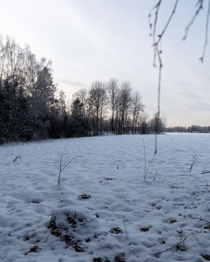 земля городской округ Шаховская с Белая Колпь ул Заречная 111 км, Новорижское шоссе фото 22